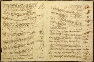 A page from the Codex Leicester, 1508-12 by Leonardo da Vinci